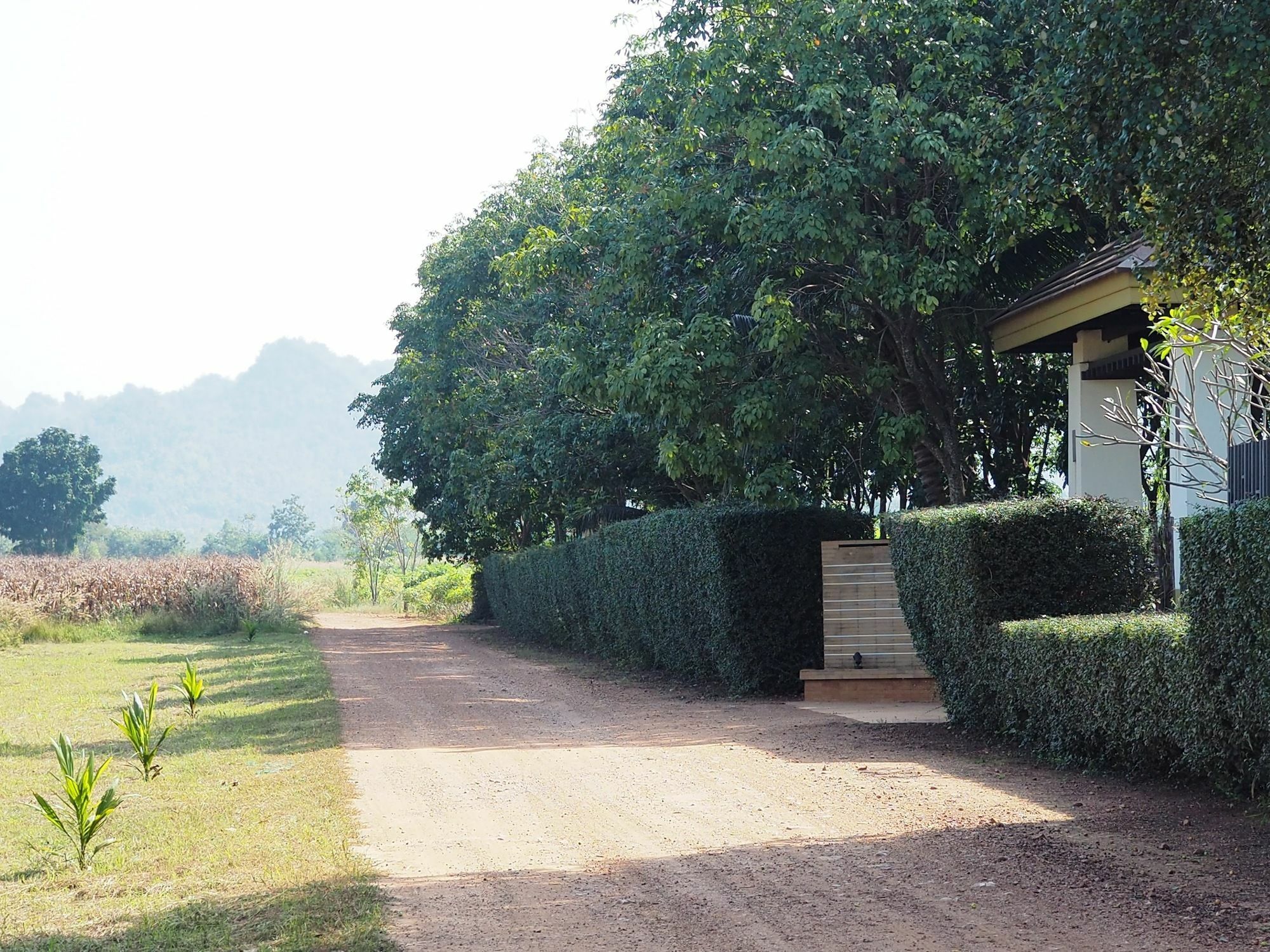 Hotel Singha Rubber Tree Ban Huai Maenam Noi Exterior foto