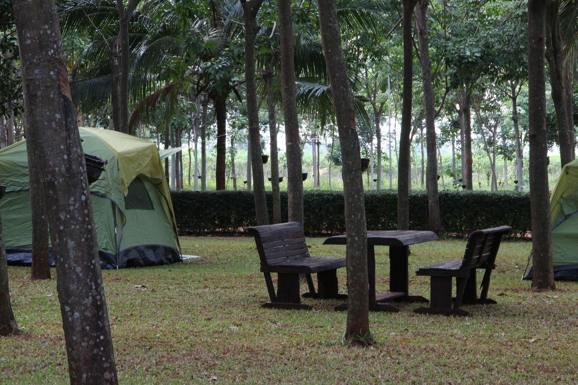 Hotel Singha Rubber Tree Ban Huai Maenam Noi Exterior foto