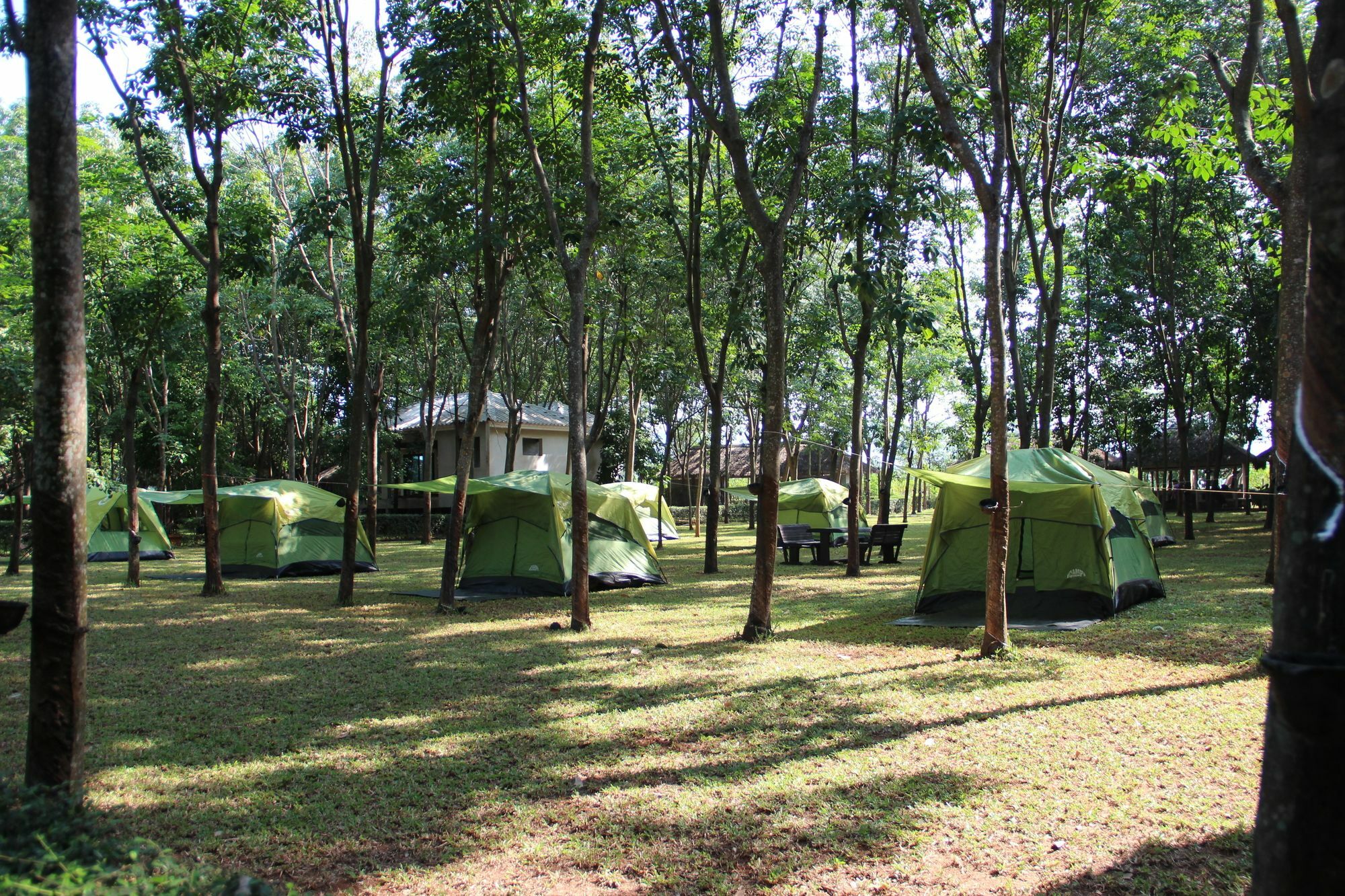 Hotel Singha Rubber Tree Ban Huai Maenam Noi Exterior foto